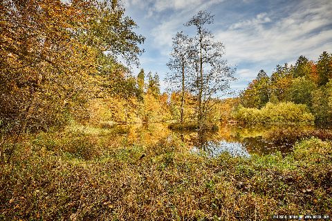 Gemeinde Tarsdorf Bezirk Braunau Huckinger See Herbst Innviertel (Dirschl Johann) Österreich BR